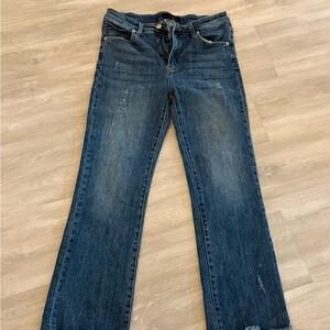 Women's size 9 Risen Jeans
